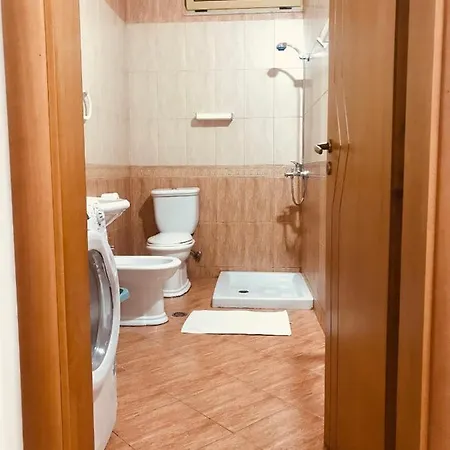 Albi 1